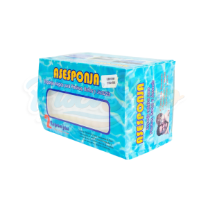 Asesponja